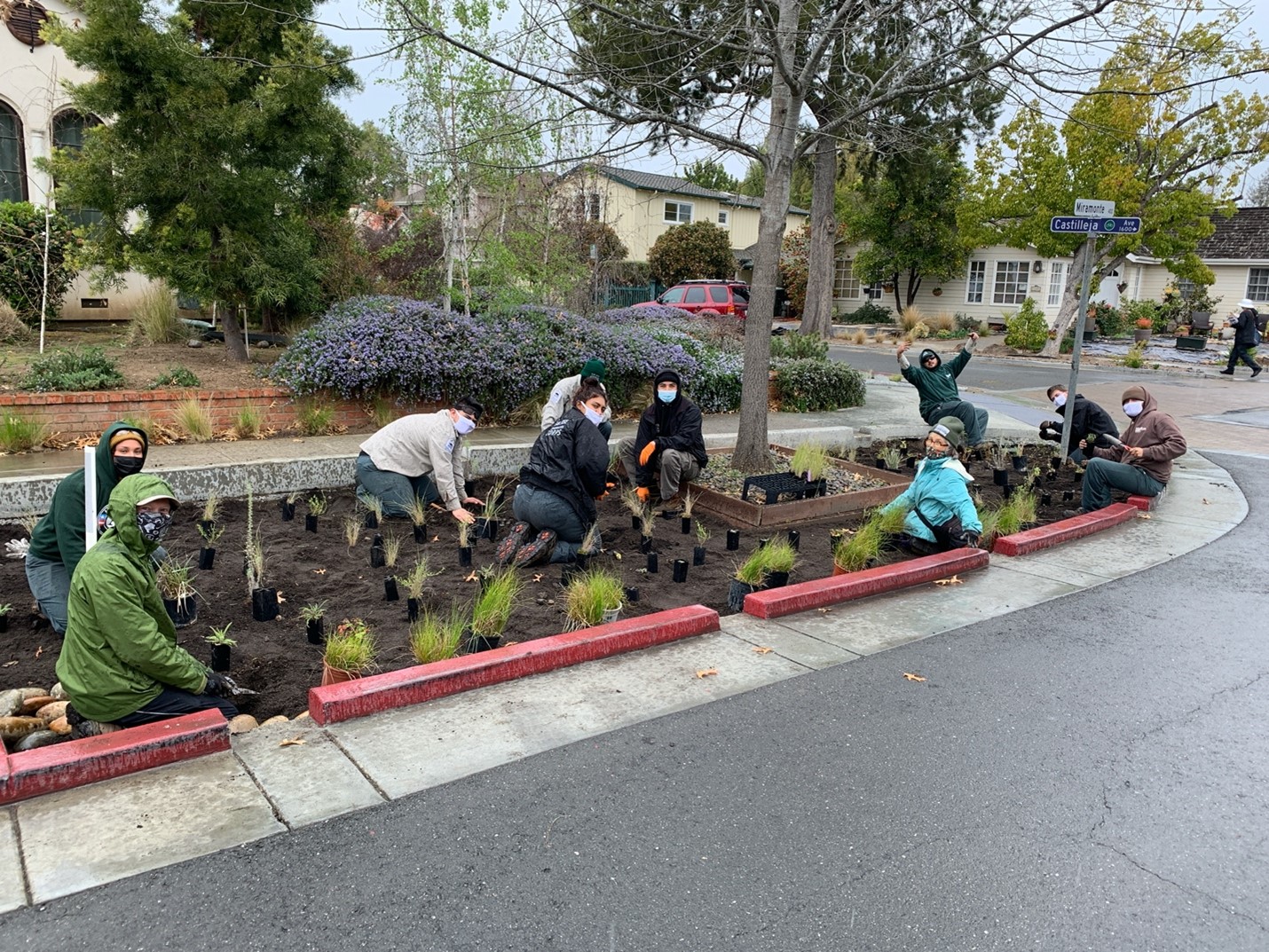 Members of Grassroots Ecology and San Jose Conservation Corps working in Palo Alto to install native plants. 