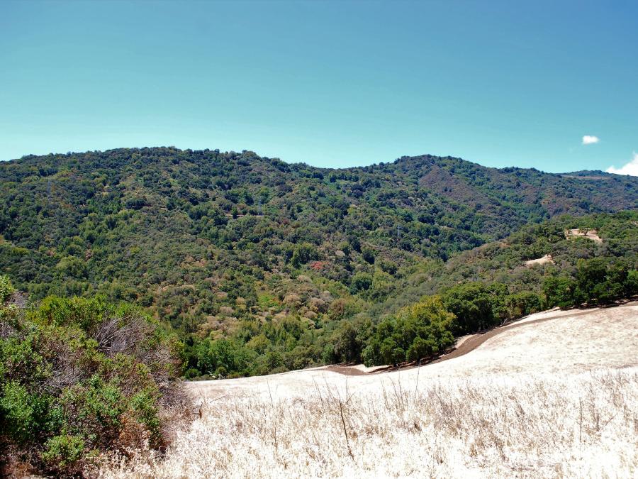 Permanente Ridgeline